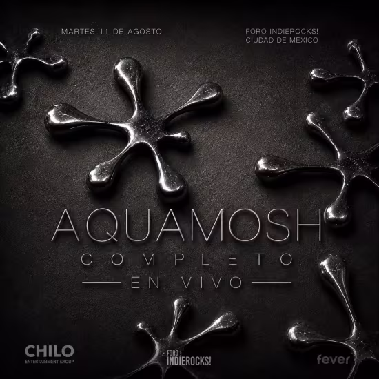 Plastilina mosh foro ir 2026