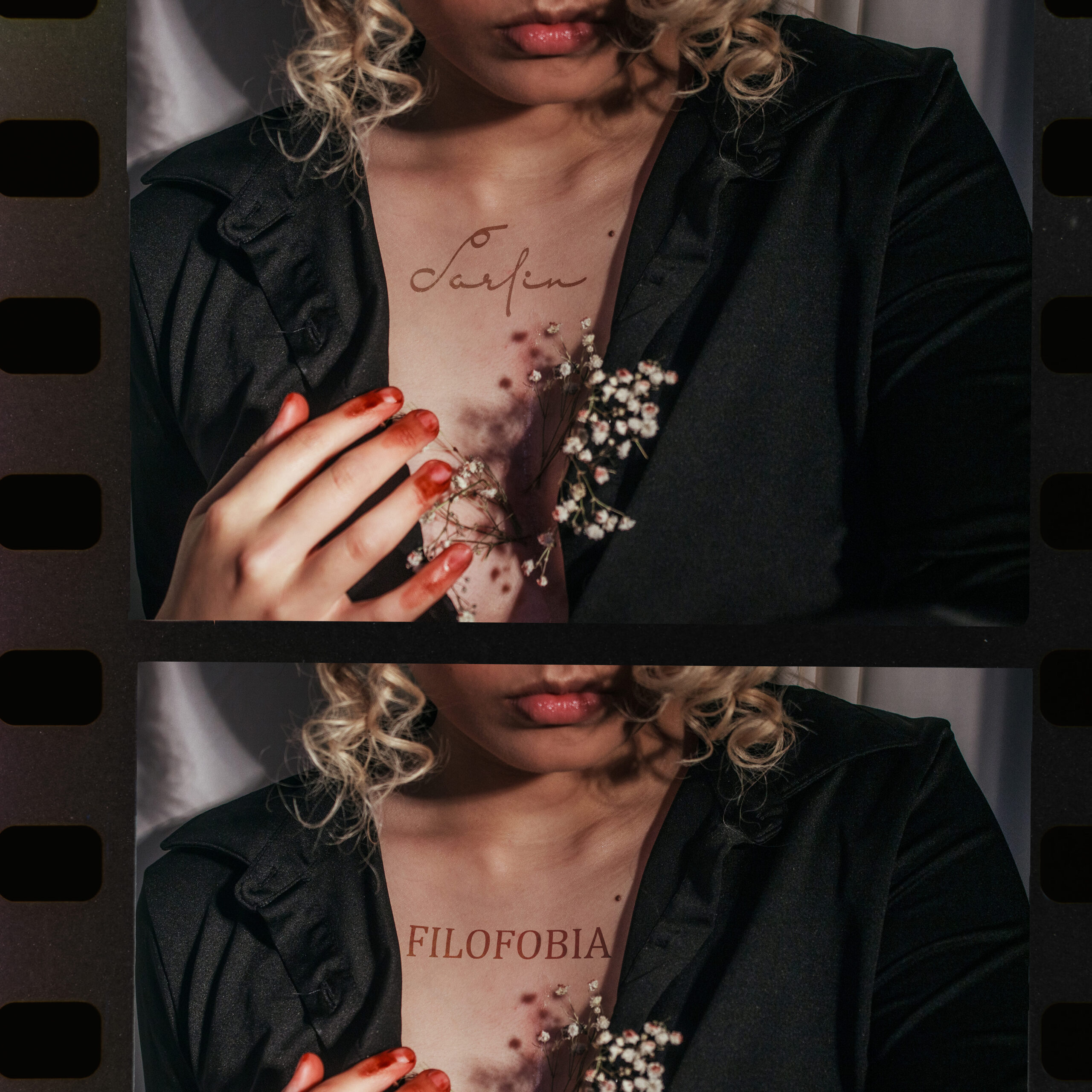 1. darlin filofobia