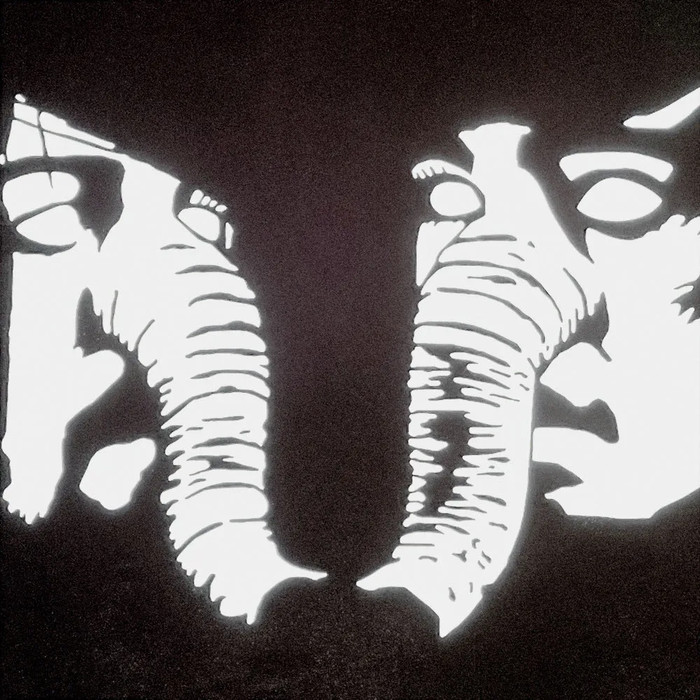 Death from above 1979 private lives