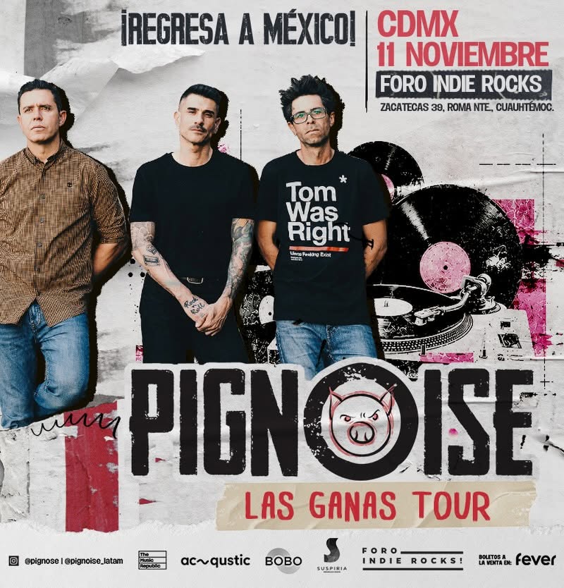Pignoise foro ir