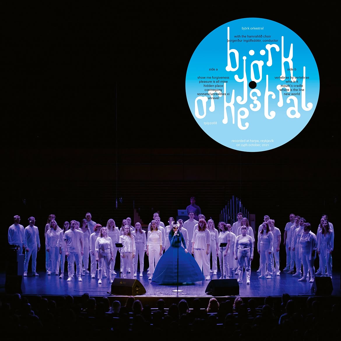 Björk björkorkestralwiththehamrahlíðchoir