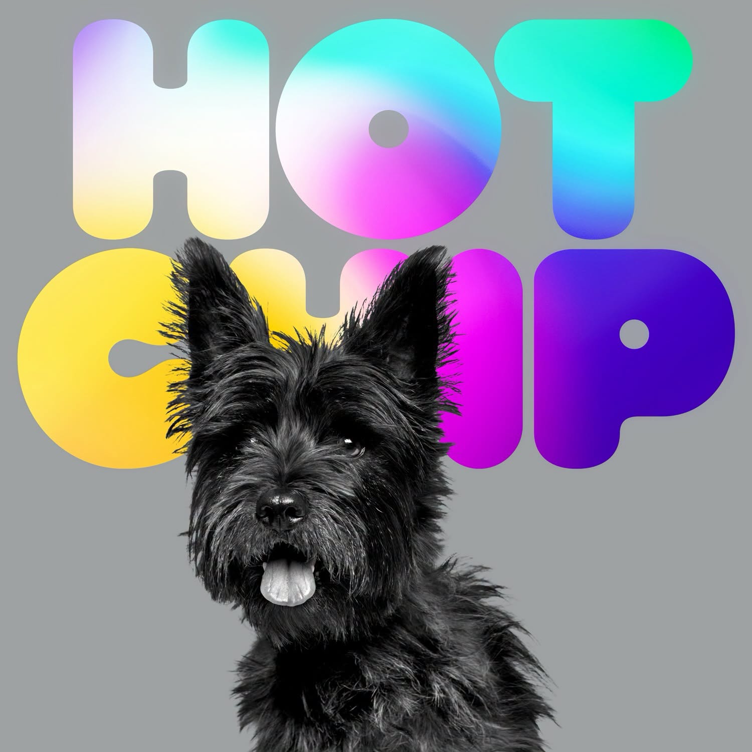 Hotchip alongwayfromkansas